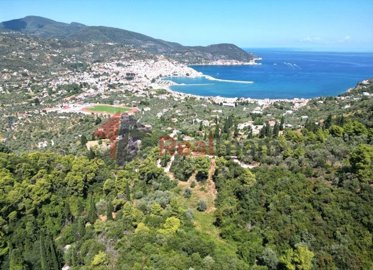 img3744bcc7-cf45-457e-aaca-f9f1e47236de