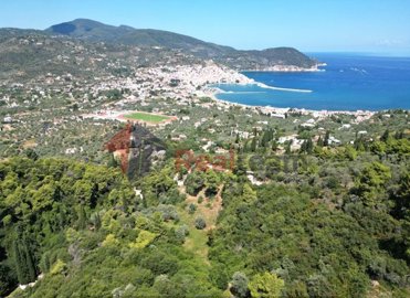 imga54b3f54-ddf6-4d34-bfab-a7c3e7b49209