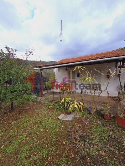 Image No.15-1 Bed Property for sale