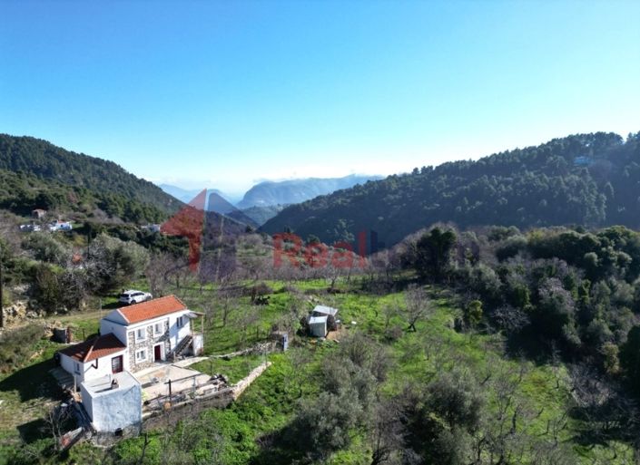 Image No.1-Propriété de 1 chambre à vendre à Skopelos