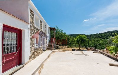 a466773c184a456488f1ce6641affa00