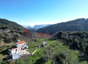 d57efb21446c4c8588f2c7fededdcf8e