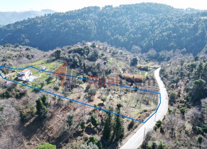 Image No.3-1 Bed Property for sale