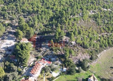 img58a72167-40ef-4b92-aa1f-b06ef129691a