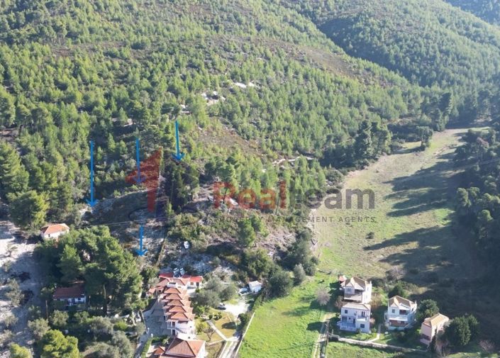 Image No.12-Propriété à vendre à Skopelos