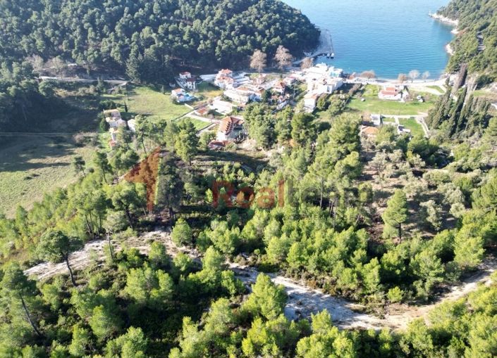 Image No.18-Propriété à vendre à Skopelos