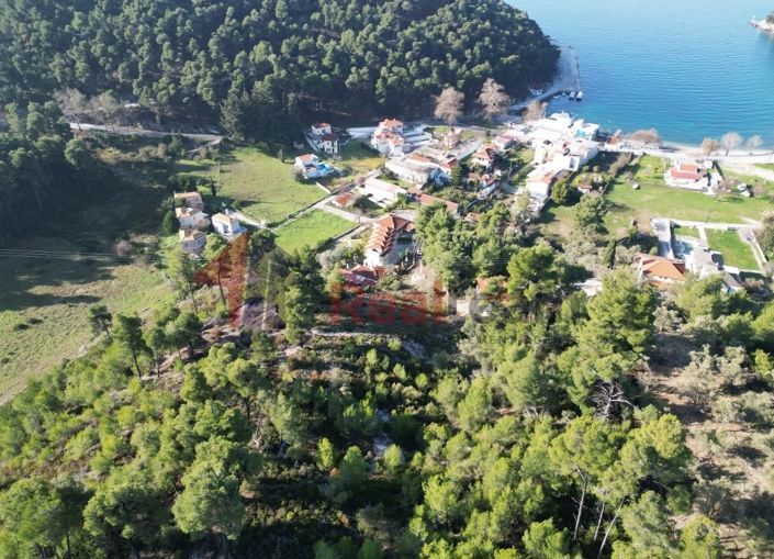 Image No.19-Propriété à vendre à Skopelos