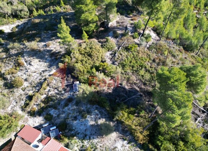 Image No.5-Propriété à vendre à Skopelos