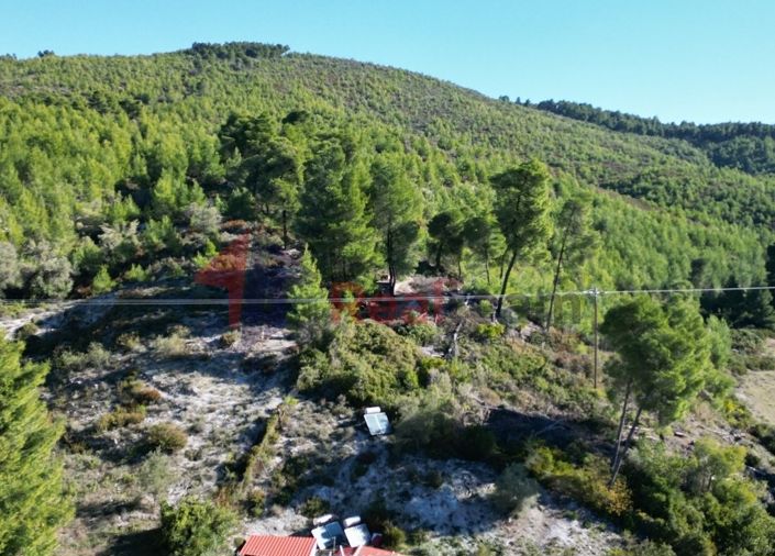 Image No.6-Propriété à vendre à Skopelos