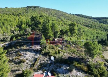 imge7f88fae-8617-4497-8929-a2bbf7e672fa