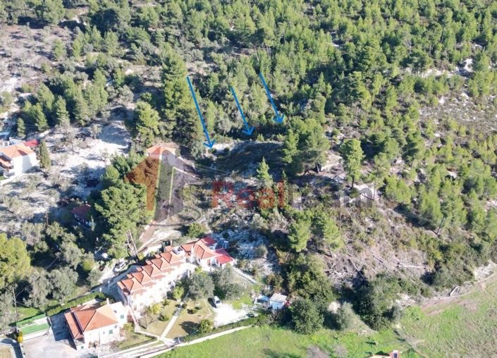 Image No.9-Propriété à vendre à Skopelos