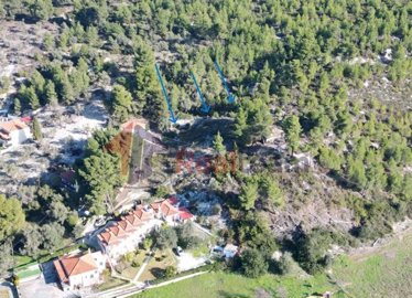 img9e4df732-66d7-4ab6-8119-a472d3dc2706