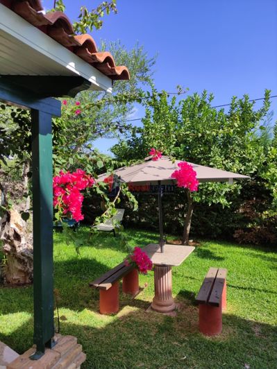 Image No.13-30 Bed Hotel for sale