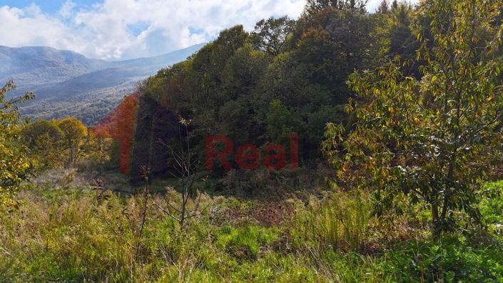 Image No.10-Propriété à vendre à Agria