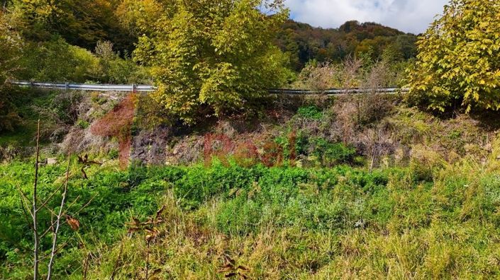 Image No.11-Propriété à vendre à Agria