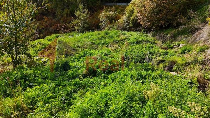 Image No.12-Propriété à vendre à Agria