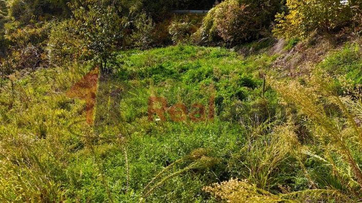 Image No.13-Propriété à vendre à Agria