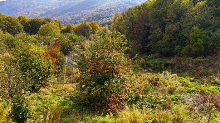 Image No.14-Propriété à vendre à Agria