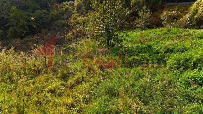 Image No.15-Propriété à vendre à Agria