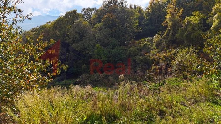 Image No.16-Propriété à vendre à Agria