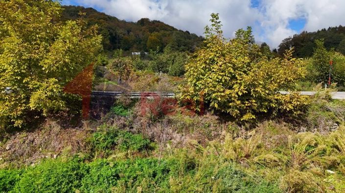 Image No.17-Propriété à vendre à Agria