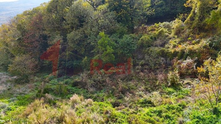 Image No.18-Propriété à vendre à Agria