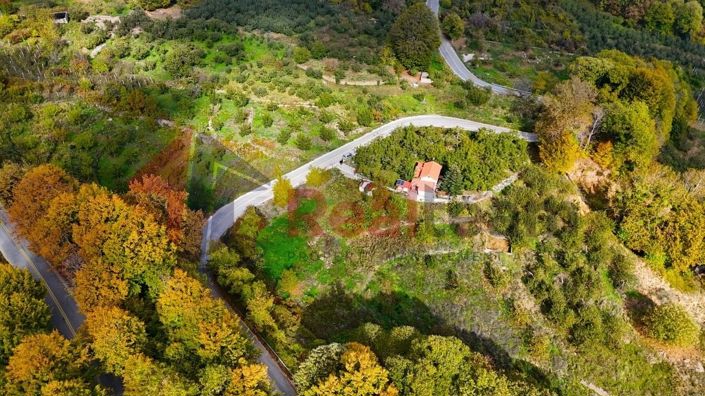 Image No.21-Propriété à vendre à Agria