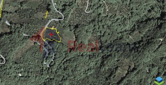 Image No.22-Propriété à vendre à Agria