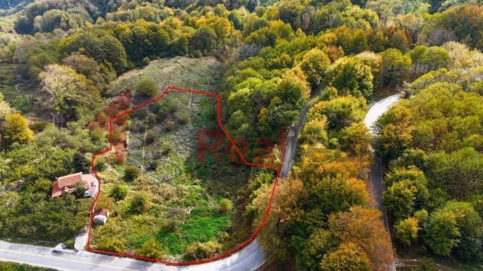 Image No.24-Propriété à vendre à Agria