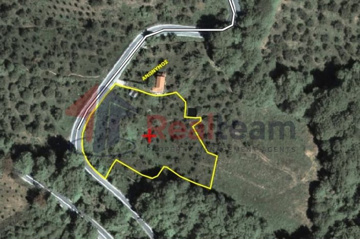 Image No.3-Propriété à vendre à Agria