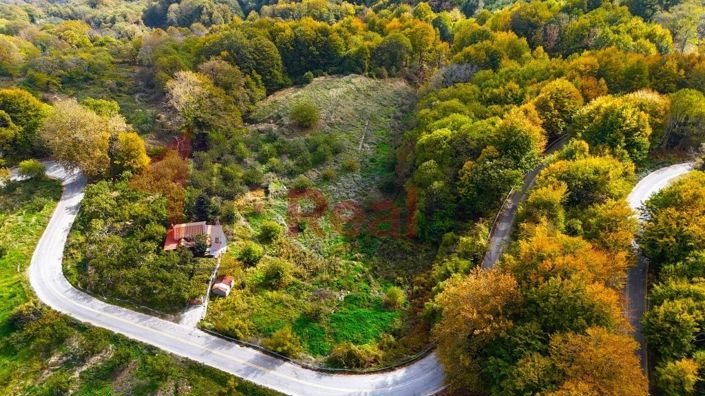 Image No.7-Propriété à vendre à Agria