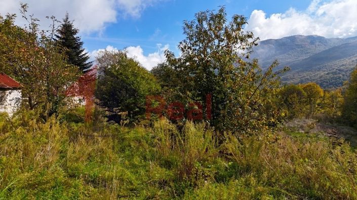 Image No.9-Propriété à vendre à Agria