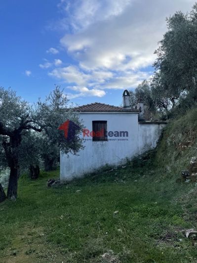 Image No.11-1 Bed Property for sale