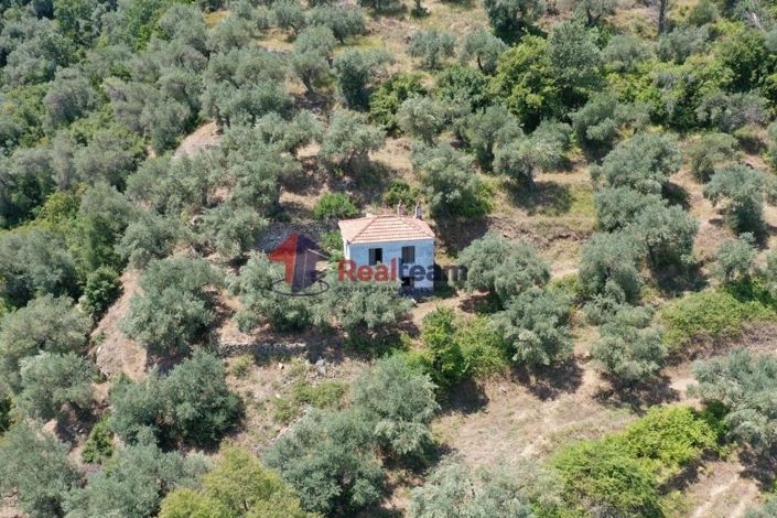 Image No.5-1 Bed Property for sale