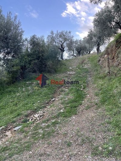 Image No.7-1 Bed Property for sale