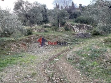 imgb5ae0d2d-7dcf-4762-9253-8125fb38cba9