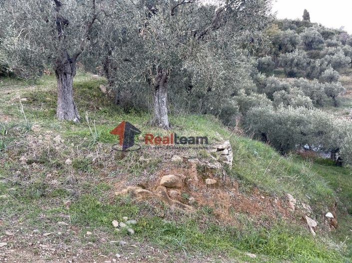 Image No.9-1 Bed Property for sale