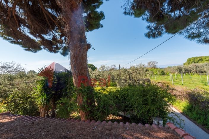 Image No.18-Propriété de 2 chambres à vendre à Artemida