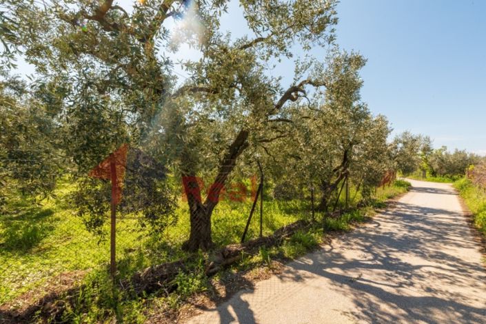 Image No.24-Propriété de 2 chambres à vendre à Artemida