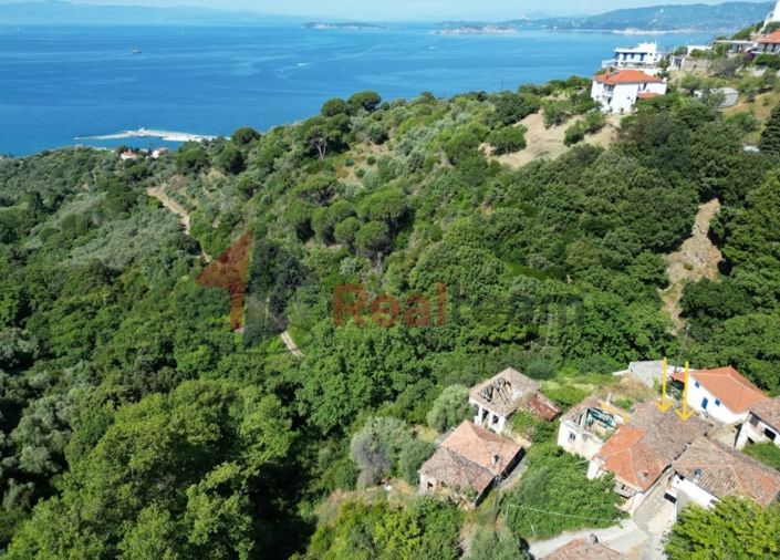 Image No.1-Propriété à vendre à Skopelos