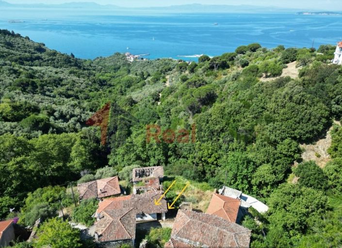 Image No.3-Property for sale