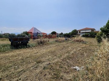 img9