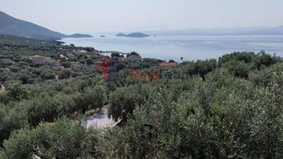 img13