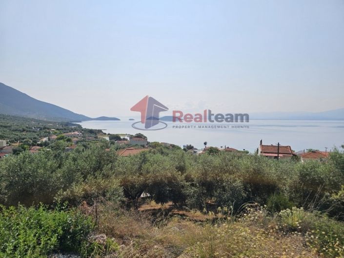 Image No.1-Property for sale