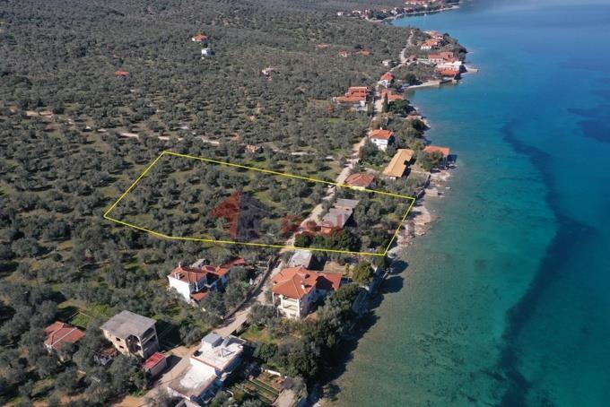 Image No.1-House for sale