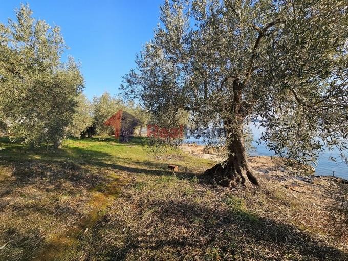 Image No.36-Property for sale