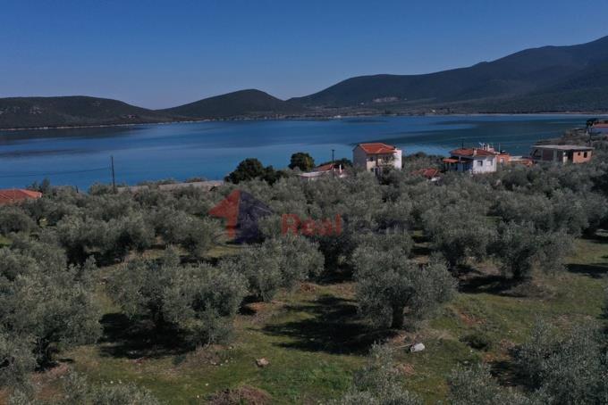 Image No.46-Property for sale