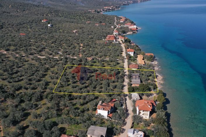 Image No.19-Property for sale