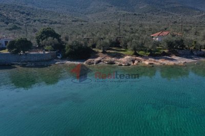 21cfb4d64dfd43e0bea6b1940e467478