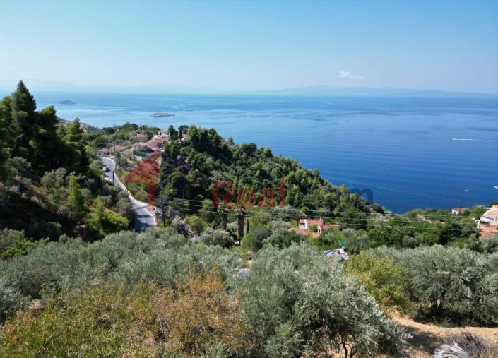 Image No.49-Property for sale